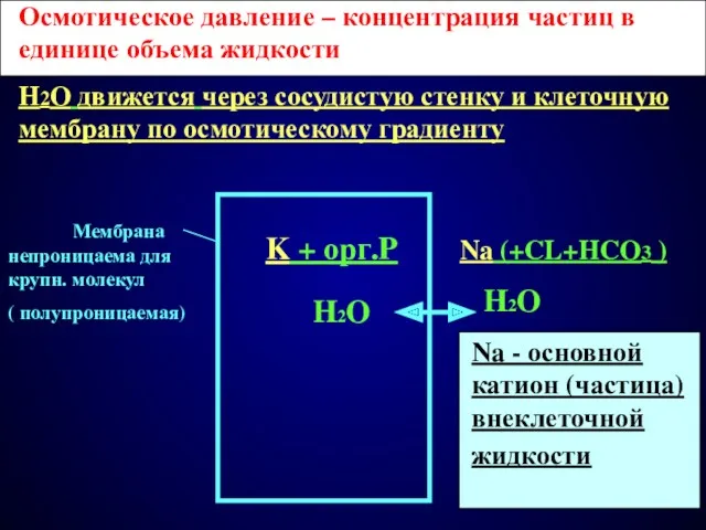 Na (+CL+HCO3 ) H2O H2O K + орг.P Осмотическое давление