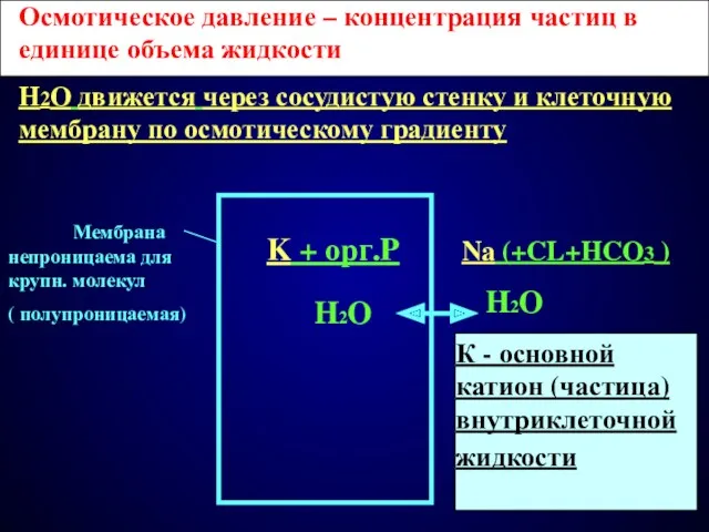 Na (+CL+HCO3 ) H2O H2O K + орг.P Осмотическое давление