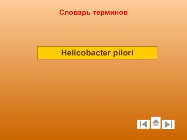 Словарь терминов Helicobacter pilori