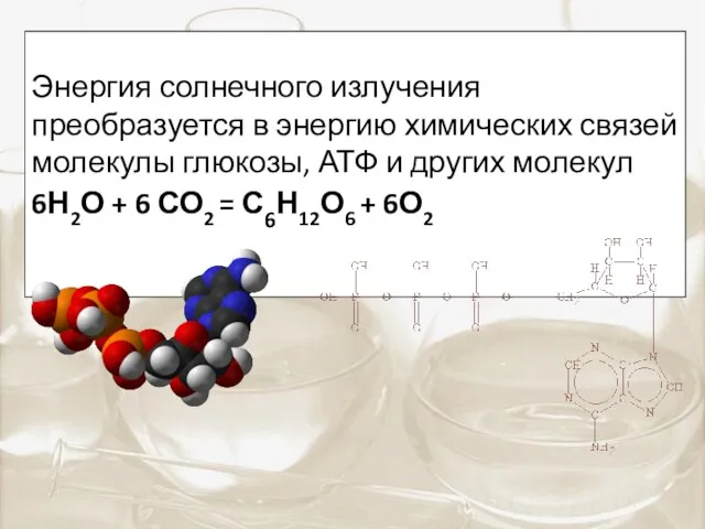 Энергия солнечного излучения преобразуется в энергию химических связей молекулы глюкозы,