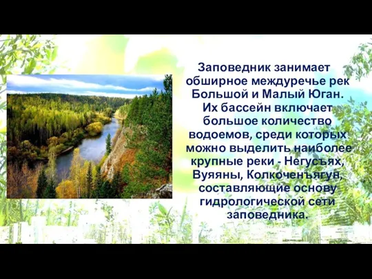 Заповедник занимает обширное междуречье рек Большой и Малый Юган. Их