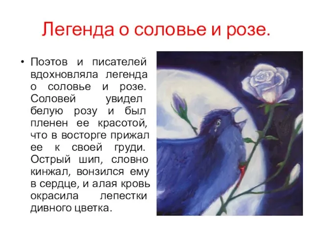 Легенда о соловье и розе. Поэтов и писателей вдохновляла легенда о соловье и