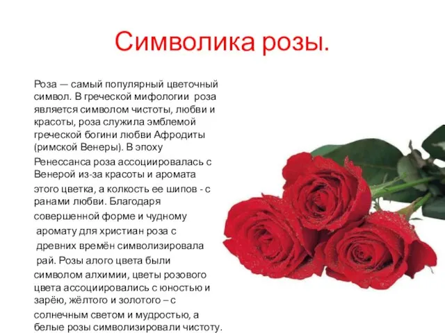 Символика розы. Роза — самый популярный цветочный символ. В греческой мифологии роза является