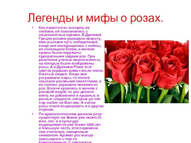 Легенды и мифы о розах. Как известно из истории, ее любили, ей поклонялись