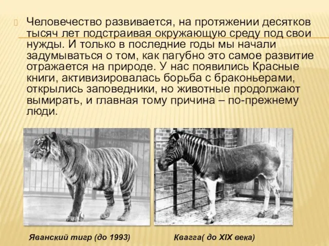 Человечество развивается, на протяжении десятков тысяч лет подстраивая окружающую среду