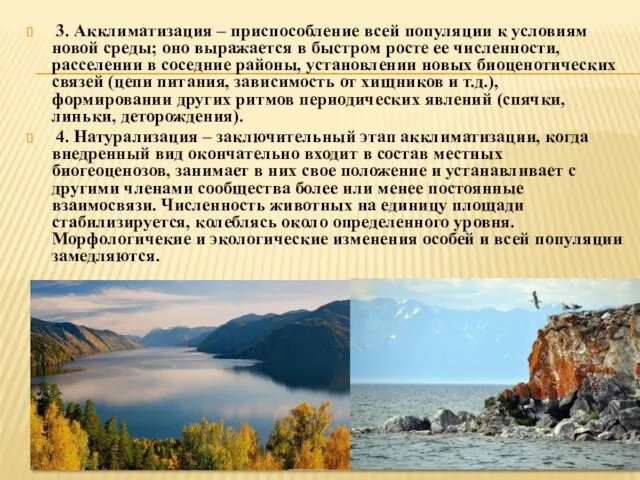 3. Акклиматизация – приспособление всей популяции к условиям новой среды;