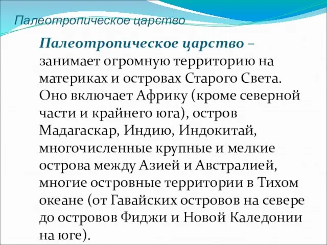 Палеотропическое царство Палеотропическое царство –занимает огромную территорию на материках и