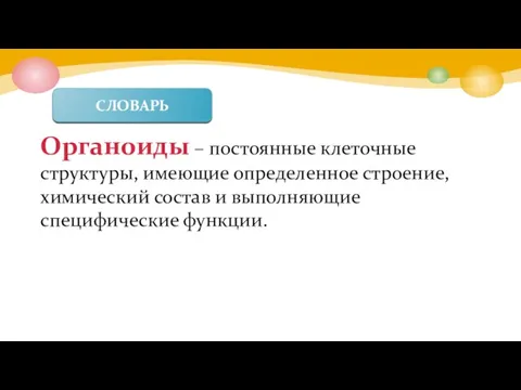 Органоиды – постоянные клеточные структуры, имеющие определенное строение, химический состав и выполняющие специфические функции. СЛОВАРЬ