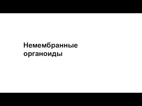 Немембранные органоиды