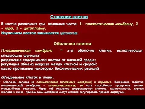 Строение клетки В клетке различают три основные части: 1- плазматическая