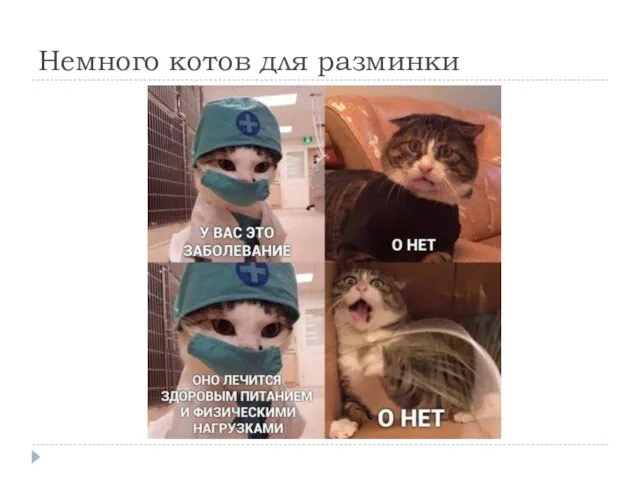 Немного котов для разминки