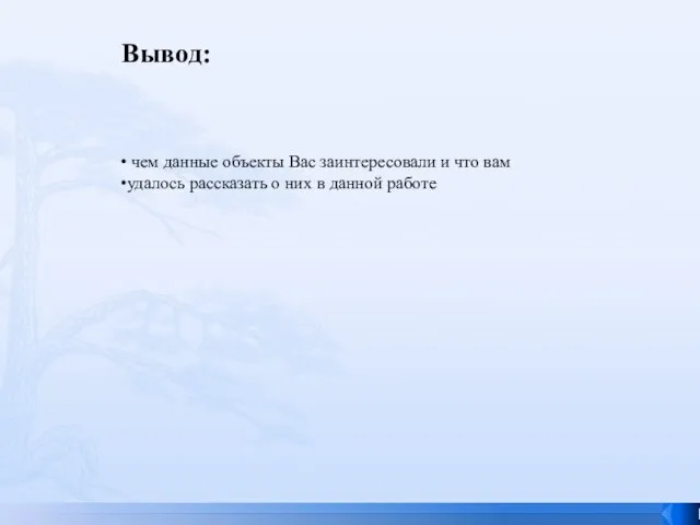 чем данные объекты Вас заинтересовали и что вам удалось рассказать о них в данной работе Вывод: