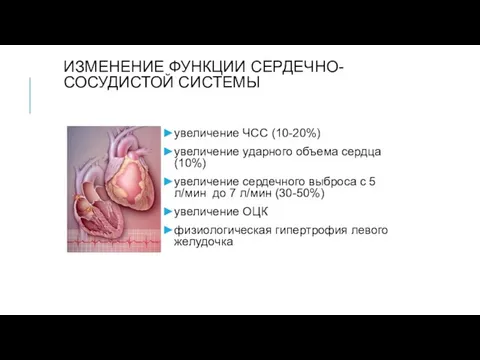 ИЗМЕНЕНИЕ ФУНКЦИИ СЕРДЕЧНО-СОСУДИСТОЙ СИСТЕМЫ увеличение ЧСС (10-20%) увеличение ударного объема сердца (10%) увеличение