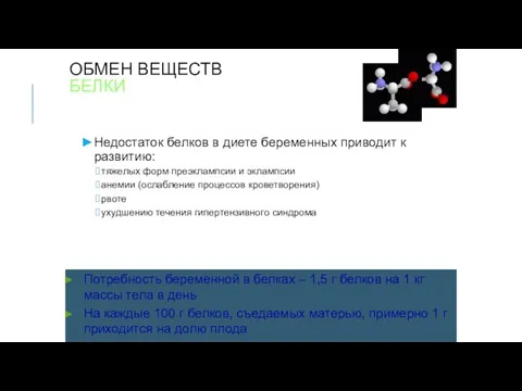 ОБМЕН ВЕЩЕСТВ БЕЛКИ Недостаток белков в диете беременных приводит к развитию: тяжелых форм