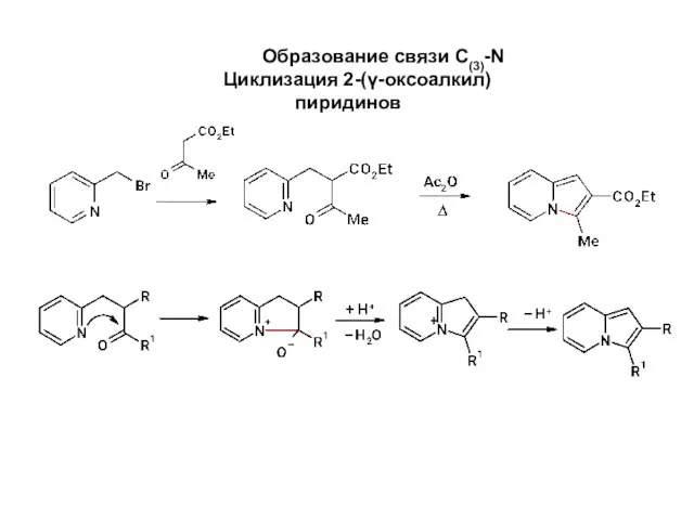 Образование связи С(3)-N Циклизация 2-(γ-оксоалкил)пиридинов