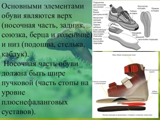 Основными элементами обуви являются верх (носочная часть, задник, союзка, берца