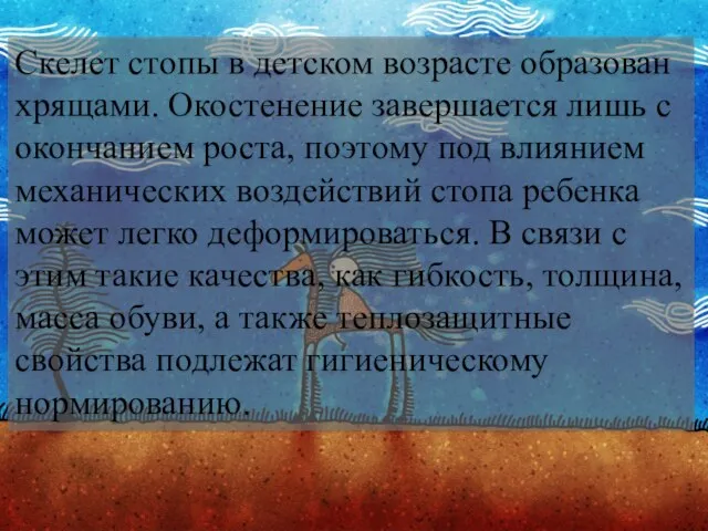 Скелет стопы в детском возрасте образован хрящами. Окостенение завершается лишь