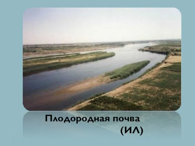 Плодородная почва (ИЛ)