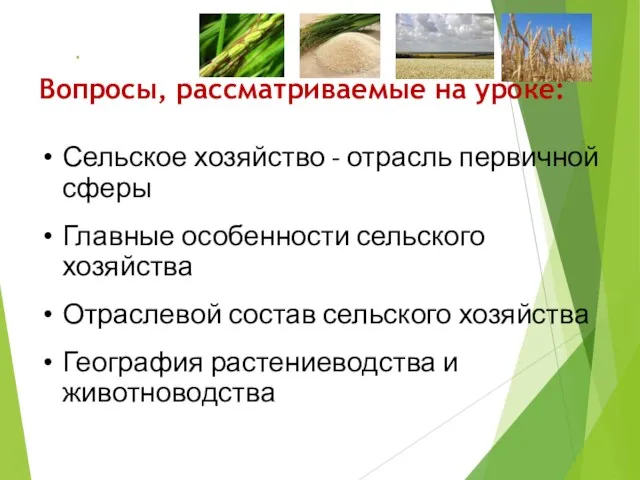 Вопросы, рассматриваемые на уроке: Сельское хозяйство - отрасль первичной сферы