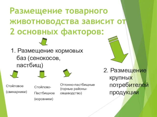 Размещение товарного животноводства зависит от 2 основных факторов: 1. Размещение