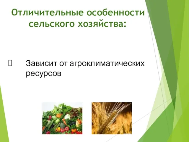 Отличительные особенности сельского хозяйства: Зависит от агроклиматических ресурсов