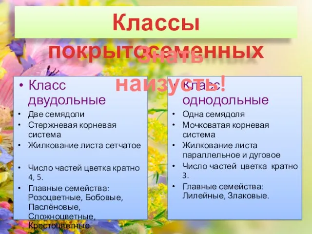 Классы покрытосеменных Класс двудольные Две семядоли Стержневая корневая система Жилкование