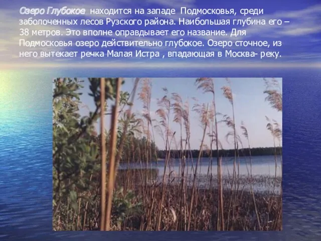 Озеро Глубокое находится на западе Подмосковья, среди заболоченных лесов Рузского