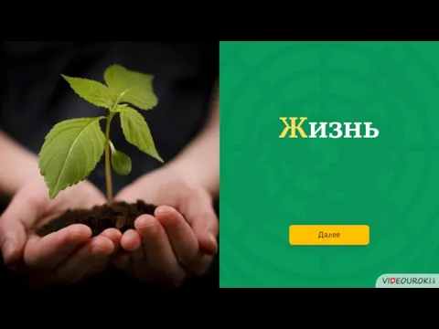 Жизнь Далее