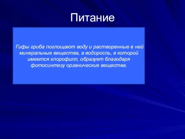 Питание Гифы гриба поглощают воду и растворенные в ней минеральные вещества, а водоросль,