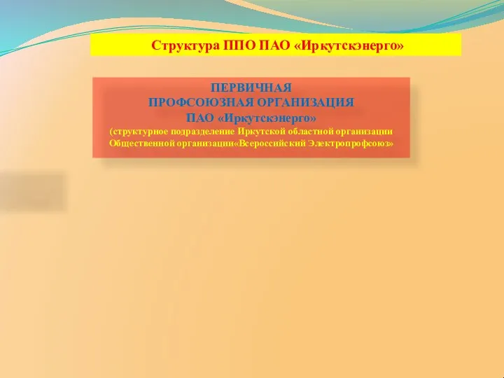 Структура ППО ПАО «Иркутскэнерго» ПЕРВИЧНАЯ ПРОФСОЮЗНАЯ ОРГАНИЗАЦИЯ ПАО «Иркутскэнерго» (структурное