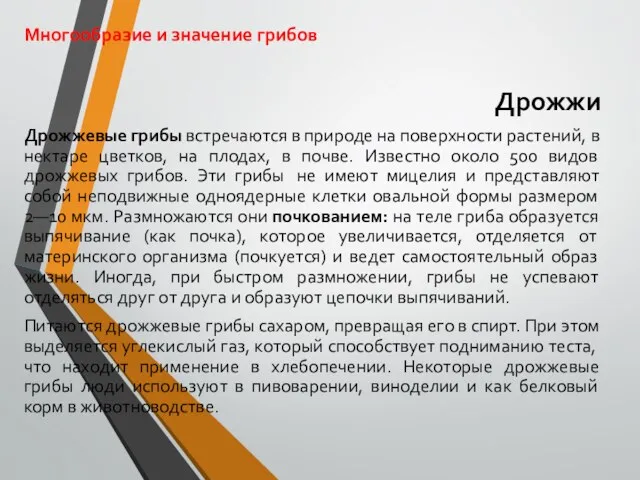 Многообразие и значение грибов Дрожжи Дрожжевые грибы встречаются в природе