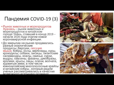Пандемия COVID-19 (3) Рынок животных и морепродуктов Хуанань – рынок животных и морепродуктов
