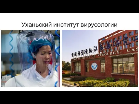 Уханьский институт вирусологии