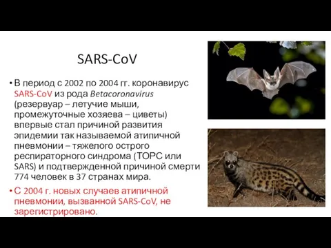 SARS-CoV В период с 2002 по 2004 гг. коронавирус SARS-CoV из рода Betacoronavirus