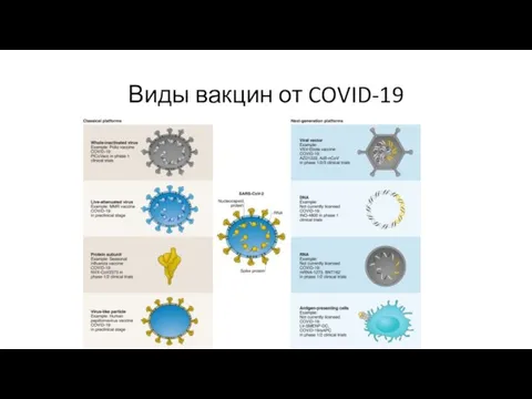 Виды вакцин от COVID-19