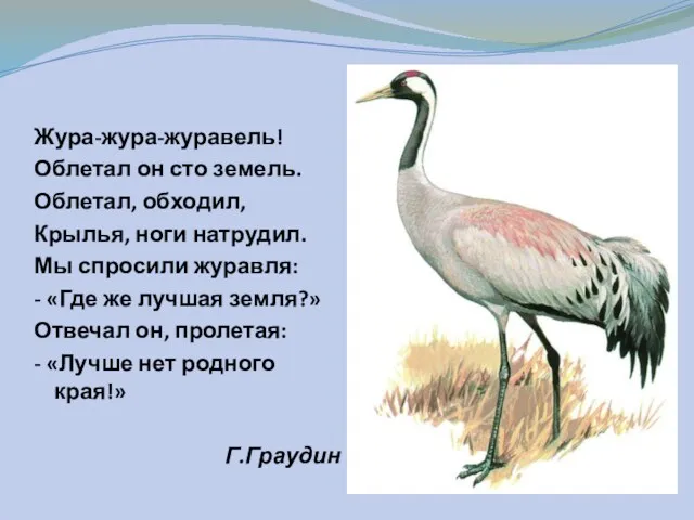 Жура-жура-журавель! Облетал он сто земель. Облетал, обходил, Крылья, ноги натрудил.