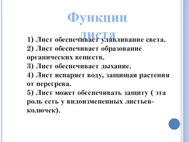 Функции листа 1) Лист обеспечивает улавливание света. 2) Лист обеспечивает