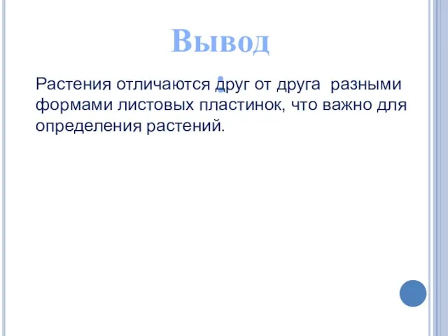 Вывод: Растения отличаются друг от друга разными формами листовых пластинок, что важно для определения растений.