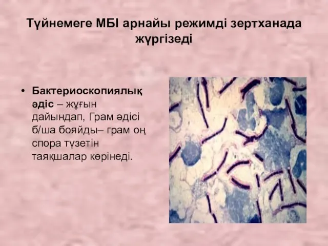 Түйнемеге МБІ арнайы режимді зертханада жүргізеді Бактериоскопиялық әдіс – жұғын дайындап, Грам әдісі