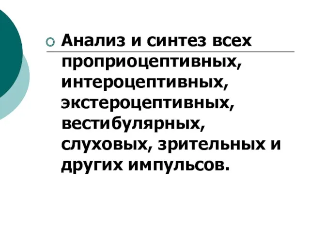 Анализ и синтез всех проприоцептивных, интероцептивных, экстероцептивных, вестибулярных, слуховых, зрительных и других импульсов.