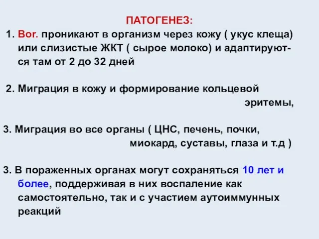 ПАТОГЕНЕЗ: 1. Вor. проникают в организм через кожу ( укус