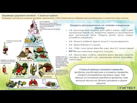 Пирамида здорового питания – 5 золотых правил Пирамида питания или