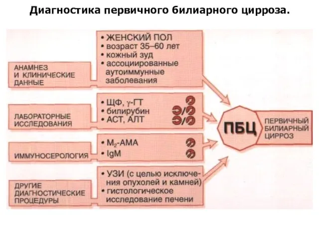 Диагностика первичного билиарного цирроза.