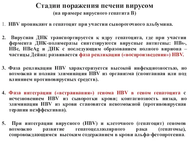 Стадии поражения печени вирусом (на примере вирусного гепатита В) 1.