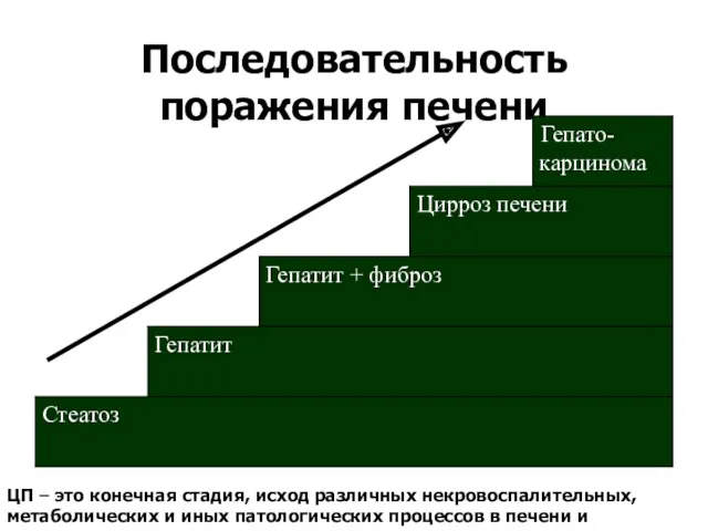 Последовательность поражения печени ЦП – это конечная стадия, исход различных