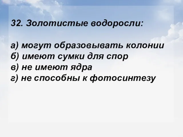 32. Золотистые водоросли: а) могут образовывать колонии б) имеют сумки