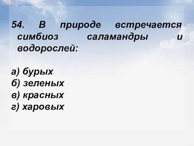 54. В природе встречается симбиоз саламандры и водорослей: а) бурых б) зеленых в) красных г) харовых