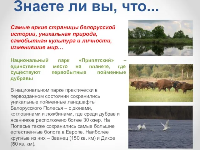 Знаете ли вы, что... Самые яркие страницы белорусской истории, уникальная природа, самобытная культура