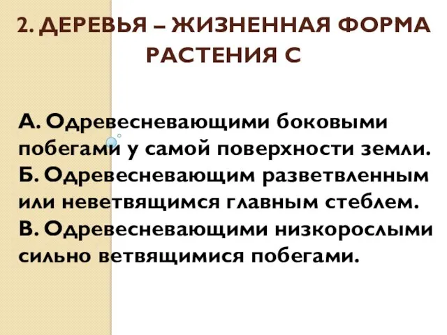 2. ДЕРЕВЬЯ – ЖИЗНЕННАЯ ФОРМА РАСТЕНИЯ С А. Одревесневающими боковыми