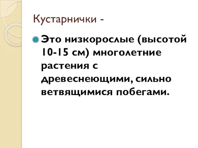 Кустарнички - Это низкорослые (высотой 10-15 см) многолетние растения с древеснеющими, сильно ветвящимися побегами.